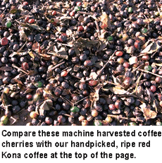 /i//bad-coffee2.gif