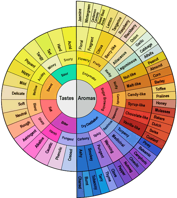 defining coffee tastes taste chart