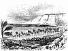 Kealakekua Bay in 1875