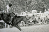 Honaunau Rodeo, 1968
