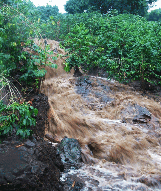 Kona flash flood!