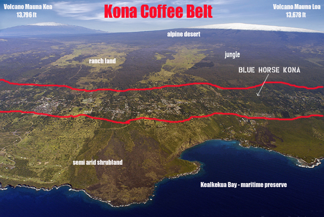the famous Kona Coffee Belt