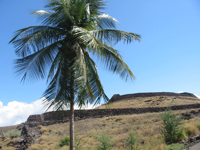 yet another sacred place on the Kona coast