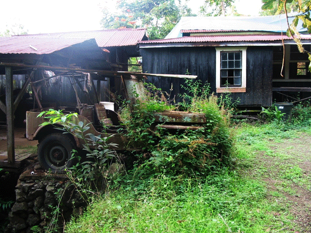 fixer-upper Kona coffee farm