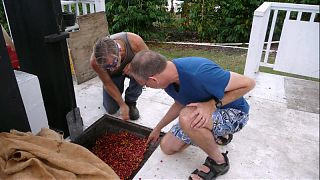 kona coffee, colin newell, coffee farm, hawaiian coffee