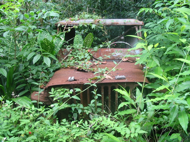 Old Willy Jeep in Kona