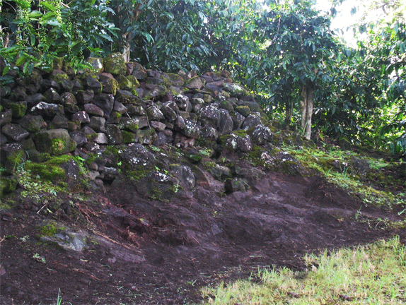 Kona farm land with stone walls